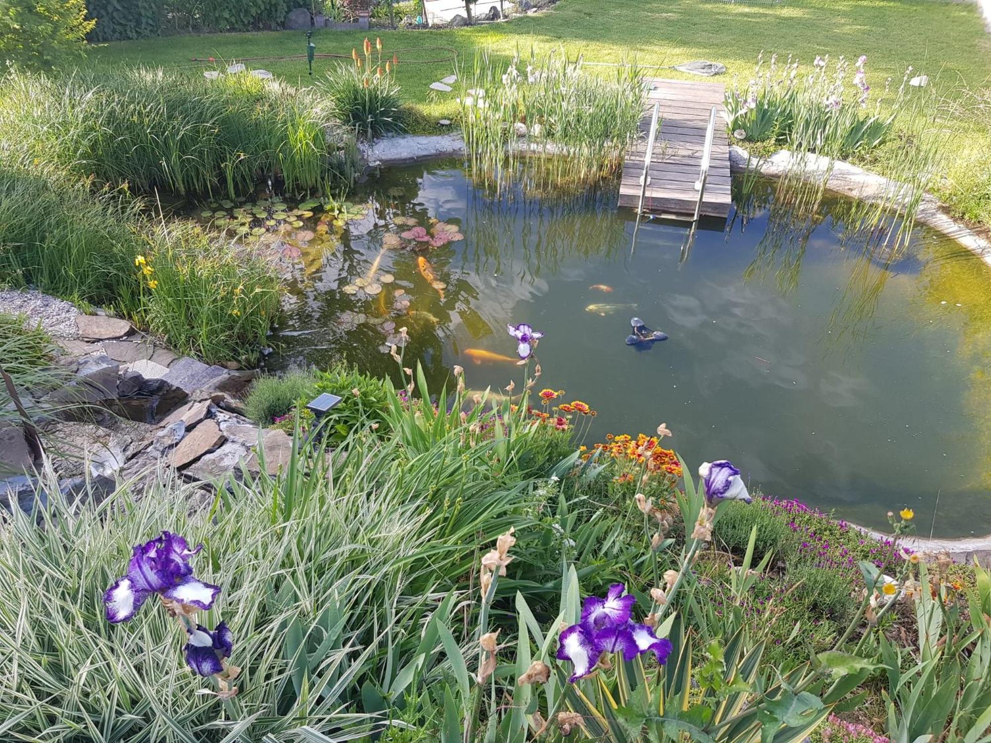 Wohlfuehlen Am Gartenteich Oberzissen Екстериор снимка